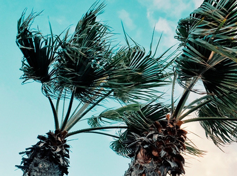 Imagen de la noticia principal