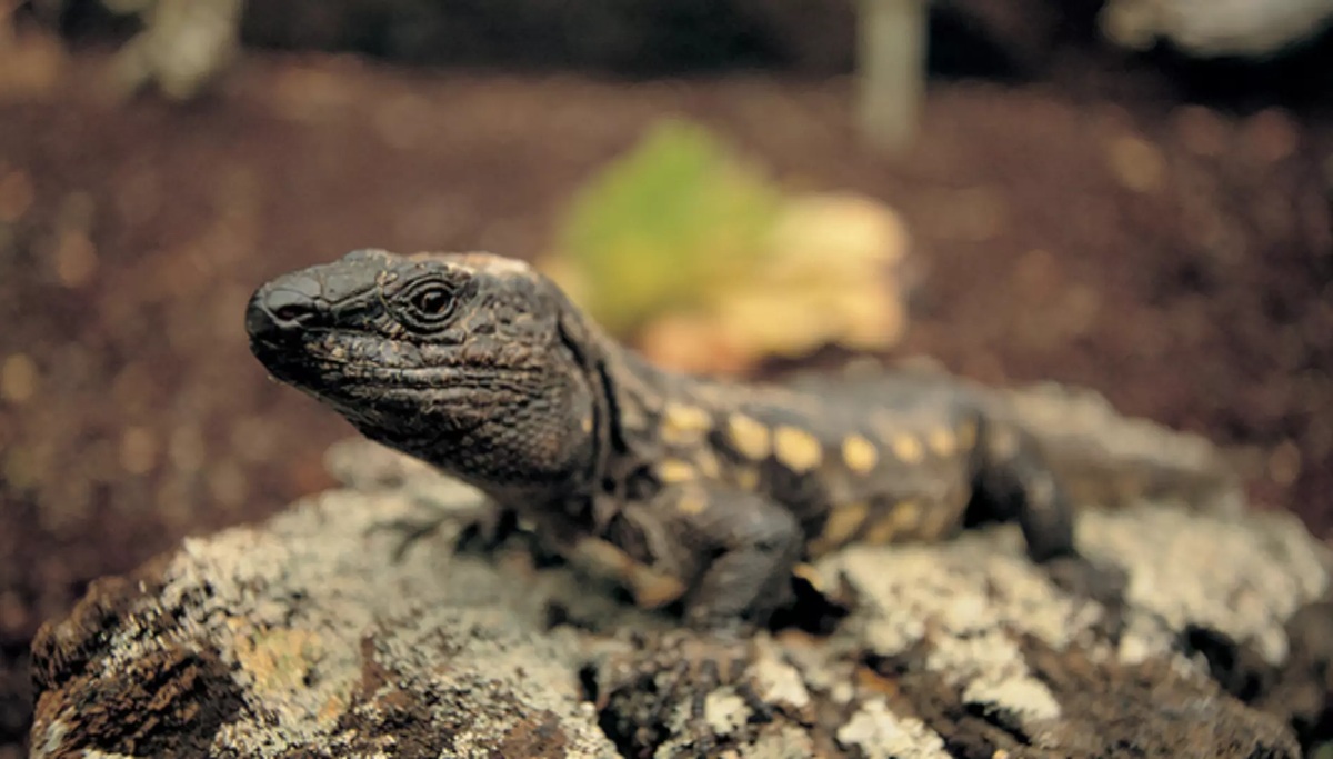 Imagen de la noticia principal